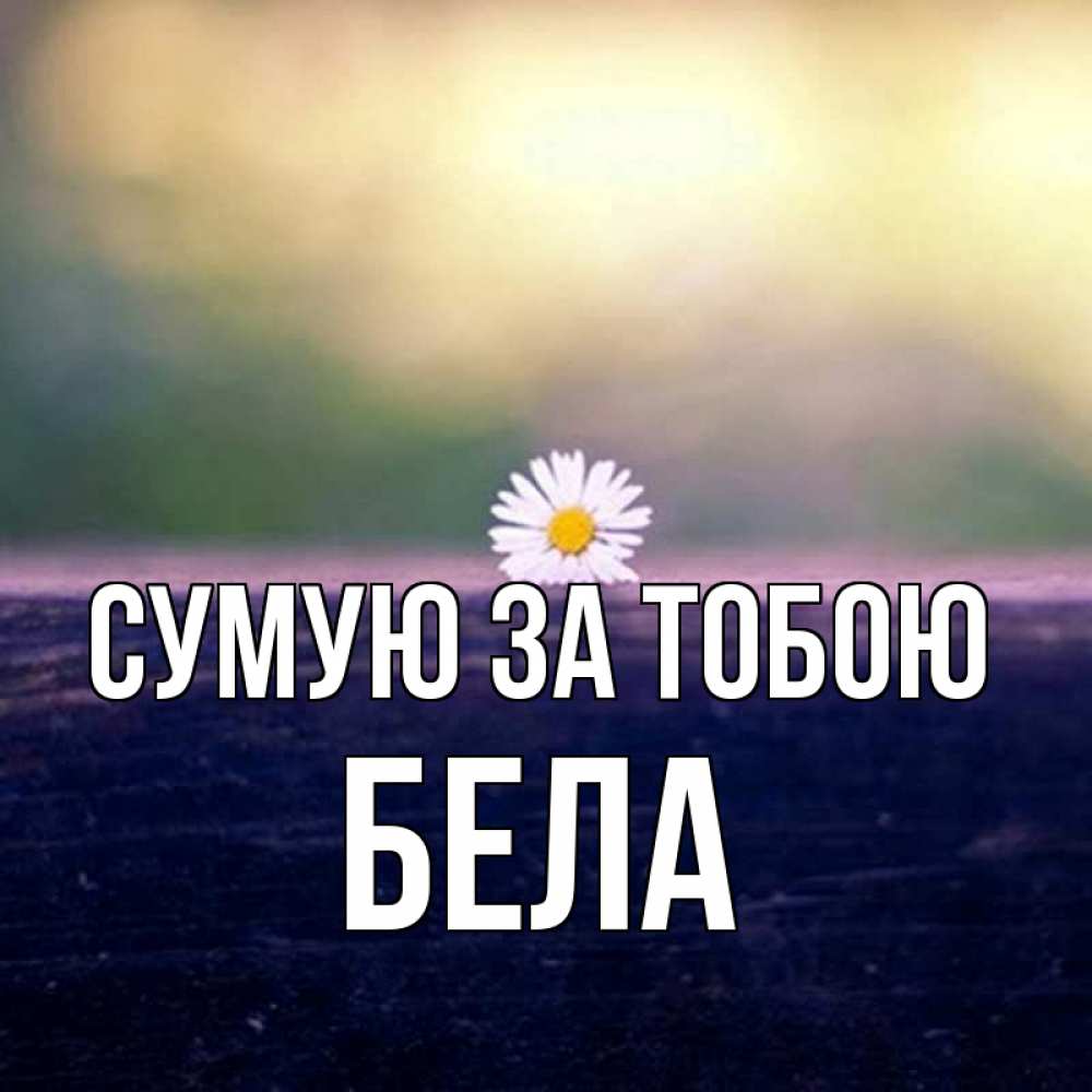 Открытка на каждый день з підписом, Бела Сумую за тобою приходи в гости Прикольна листівка з побажанням онлайн скачати безкоштовно 