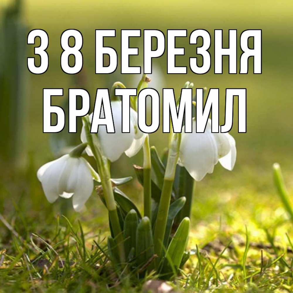 Открытка на каждый день з підписом, Братомил З 8 БЕРЕЗНЯ ранние цветы 2 Прикольна листівка з побажанням онлайн скачати безкоштовно 
