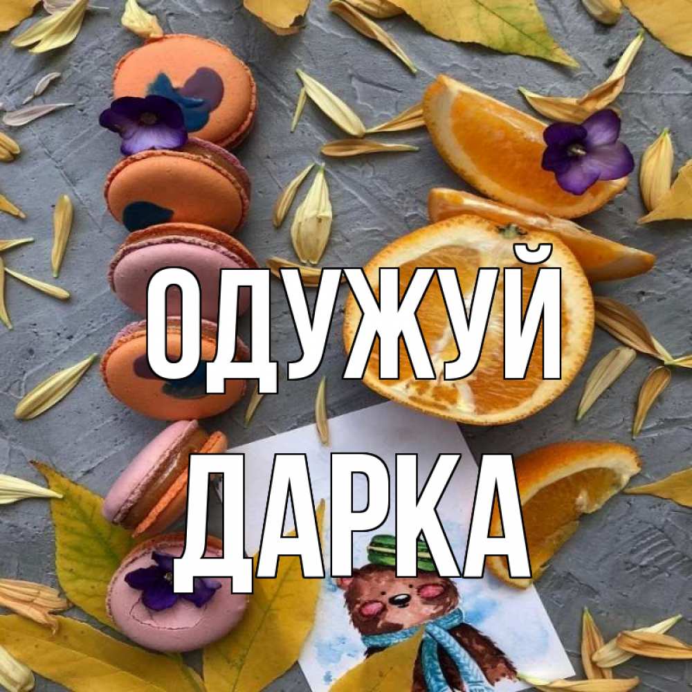 Открытка на каждый день з підписом, Дарка Одужуй не болейте Прикольна листівка з побажанням онлайн скачати безкоштовно 