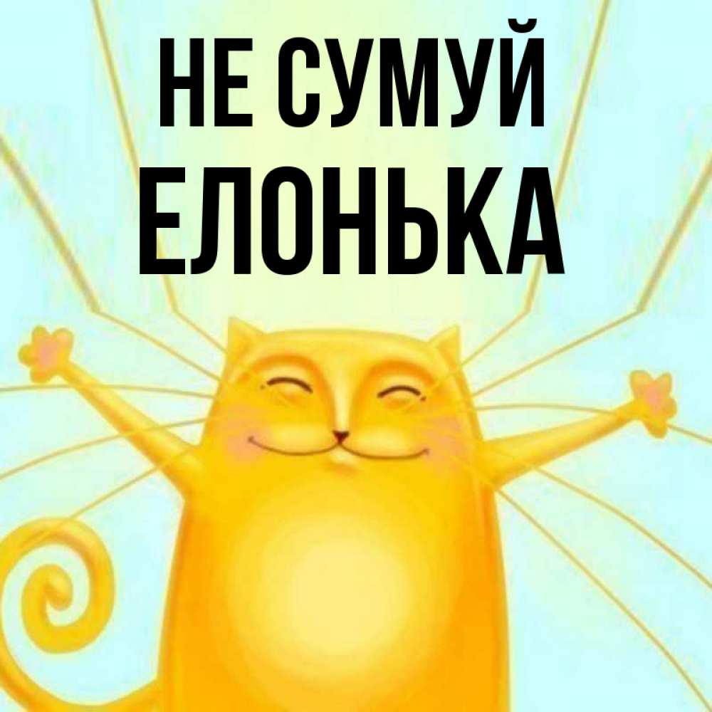Открытка на каждый день з підписом, Елонька Не сумуй обнимашки усатые Прикольна листівка з побажанням онлайн скачати безкоштовно 