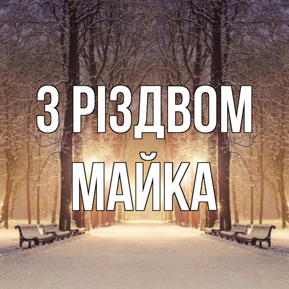 Открытка на каждый день з підписом, Майка З Різдвом зима, парк, фонарь, лес Прикольна листівка з побажанням онлайн скачати безкоштовно 