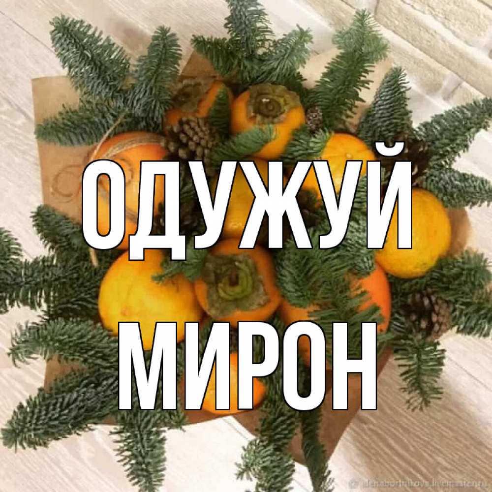 Открытка на каждый день з підписом, Мирон Одужуй апельсины и хурьма Прикольна листівка з побажанням онлайн скачати безкоштовно 