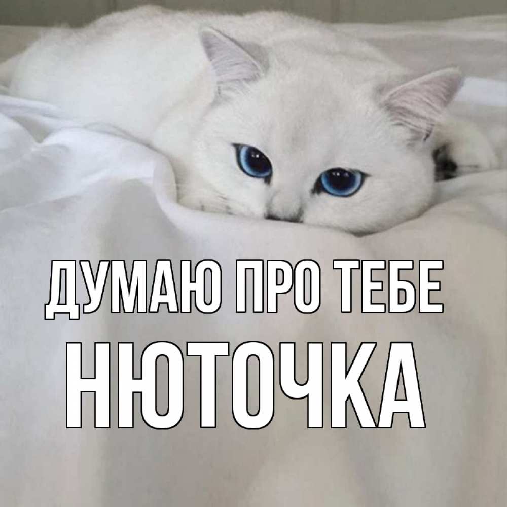 Открытка на каждый день з підписом, Нюточка Думаю про тебе я очень по тебе скучаю и тоскую Прикольна листівка з побажанням онлайн скачати безкоштовно 