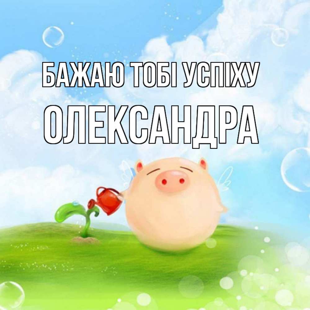 Открытка на каждый день з підписом, Олександра Бажаю тобі успіху поросенок поливает цветок. летнее настроение Прикольна листівка з побажанням онлайн скачати безкоштовно 