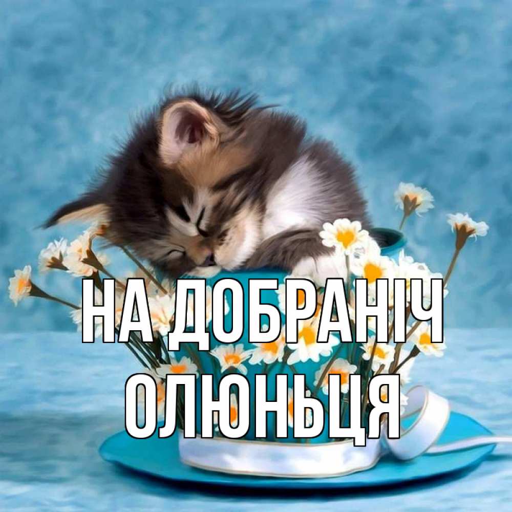Открытка на каждый день з підписом, Олюньця На добраніч котенок спит в кружке с блюдцем Прикольна листівка з побажанням онлайн скачати безкоштовно 
