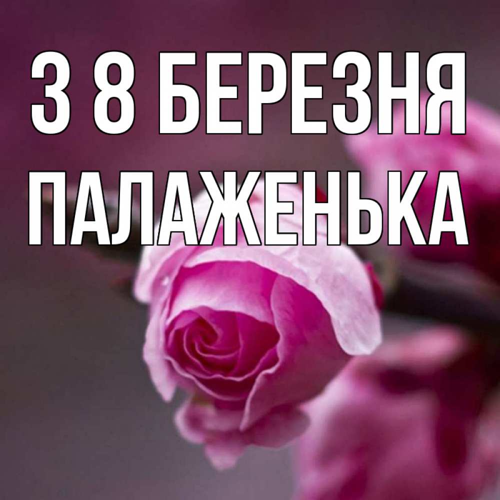 Открытка на каждый день з підписом, Палаженька З 8 БЕРЕЗНЯ весна Прикольна листівка з побажанням онлайн скачати безкоштовно 