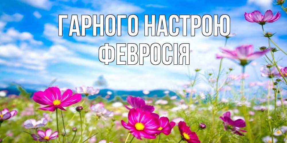 Открытка на каждый день з підписом, Февросія Гарного настрою поле цветов Прикольна листівка з побажанням онлайн скачати безкоштовно 