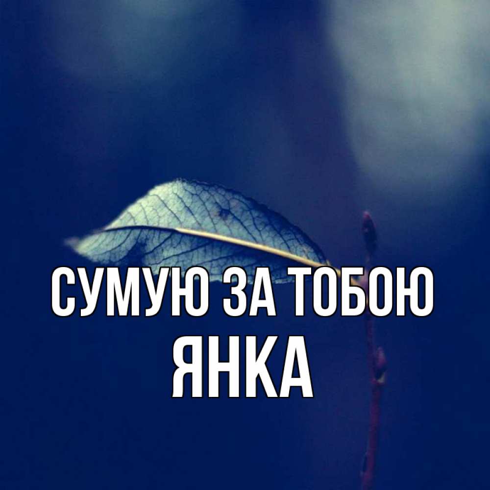 Открытка на каждый день з підписом, Янка Сумую за тобою одна ветка 1 Прикольна листівка з побажанням онлайн скачати безкоштовно 