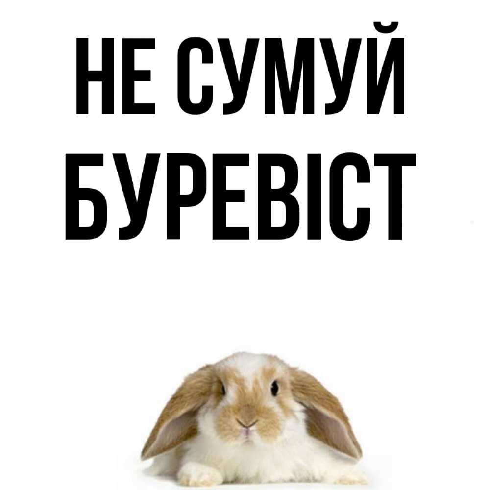 Открытка на каждый день з підписом, Буревіст Не сумуй коричнево белый заяц с большими ушками Прикольна листівка з побажанням онлайн скачати безкоштовно 