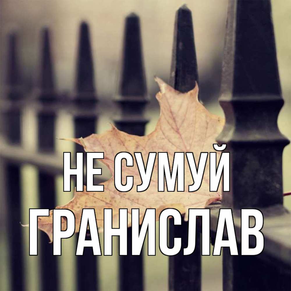 Открытка на каждый день з підписом, Гранислав Не сумуй лист клена Прикольна листівка з побажанням онлайн скачати безкоштовно 