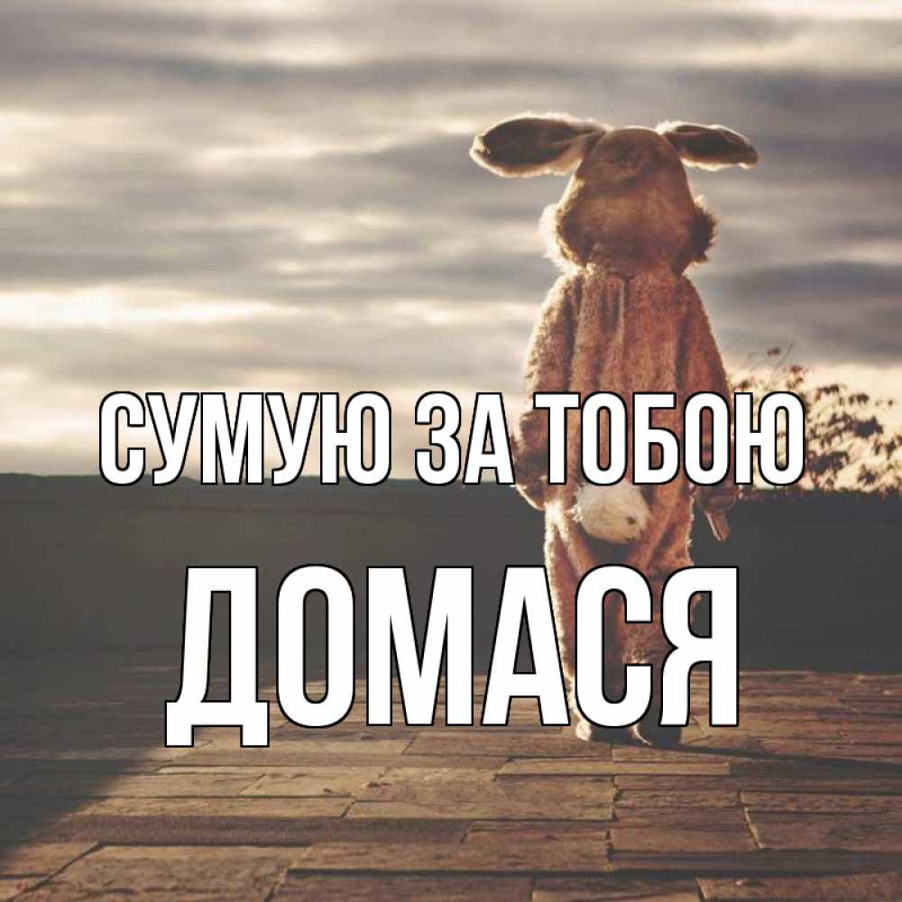 Открытка на каждый день з підписом, Домася Сумую за тобою даже в костюме зайца Прикольна листівка з побажанням онлайн скачати безкоштовно 