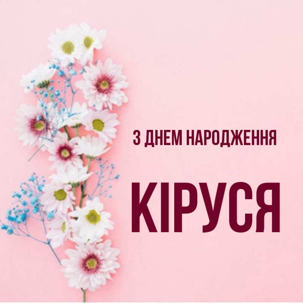Открытка на каждый день з підписом, Кіруся З Днем народження Родная моя с днем рождения тебя картинка с цветами белыми и голубыми Прикольна листівка з побажанням онлайн скачати безкоштовно 