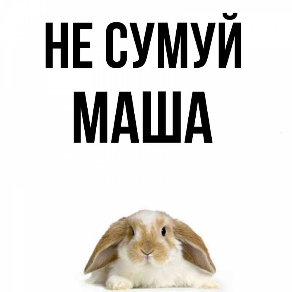 Открытка на каждый день з підписом, Маша Не сумуй коричнево белый заяц с большими ушками Прикольна листівка з побажанням онлайн скачати безкоштовно 