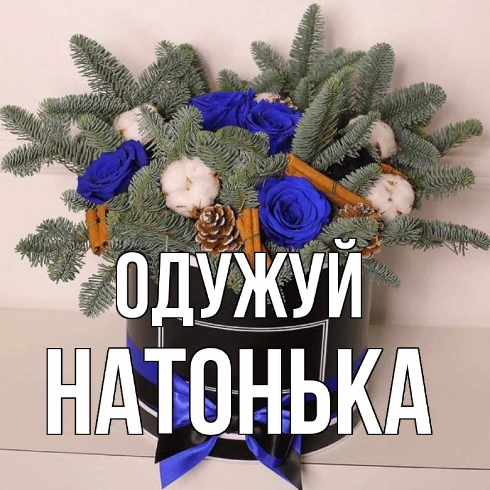 Открытка на каждый день з підписом, Натонька Одужуй короче кто то загрузил эти шишки Прикольна листівка з побажанням онлайн скачати безкоштовно 