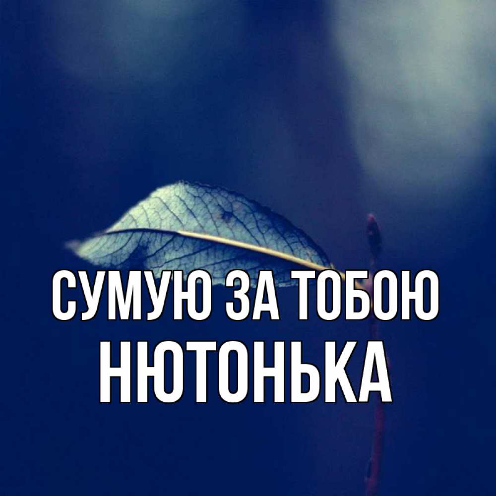 Открытка на каждый день з підписом, Нютонька Сумую за тобою одна ветка 1 Прикольна листівка з побажанням онлайн скачати безкоштовно 