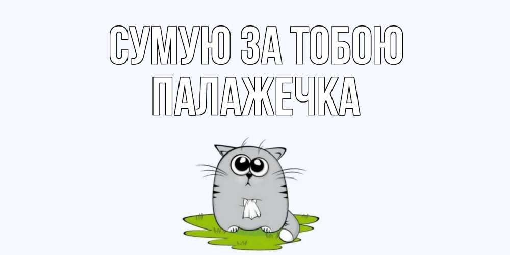 Открытка на каждый день з підписом, Палажечка Сумую за тобою открытки с котиками я по тебе скучаю с именем Прикольна листівка з побажанням онлайн скачати безкоштовно 