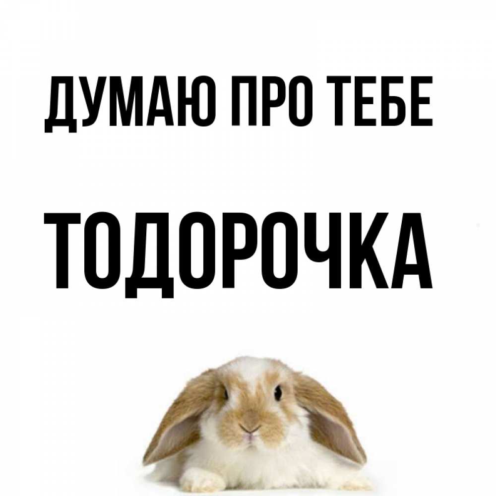 Открытка на каждый день з підписом, Тодорочка Думаю про тебе подписать своими руками онлайн Прикольна листівка з побажанням онлайн скачати безкоштовно 