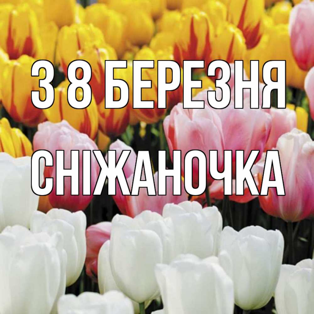 Открытка на каждый день з підписом, Сніжаночка З 8 БЕРЕЗНЯ разноцветные цветы Прикольна листівка з побажанням онлайн скачати безкоштовно 