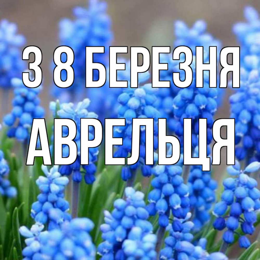 Открытка на каждый день з підписом, Аврельця З 8 БЕРЕЗНЯ Поздравительная открытка для женщин с цветами на праздничную дату Прикольна листівка з побажанням онлайн скачати безкоштовно 