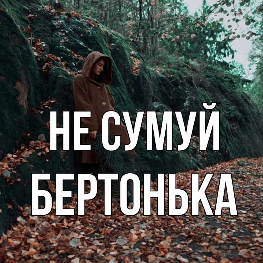 Открытка на каждый день з підписом, Бертонька Не сумуй осенний лес Прикольна листівка з побажанням онлайн скачати безкоштовно 