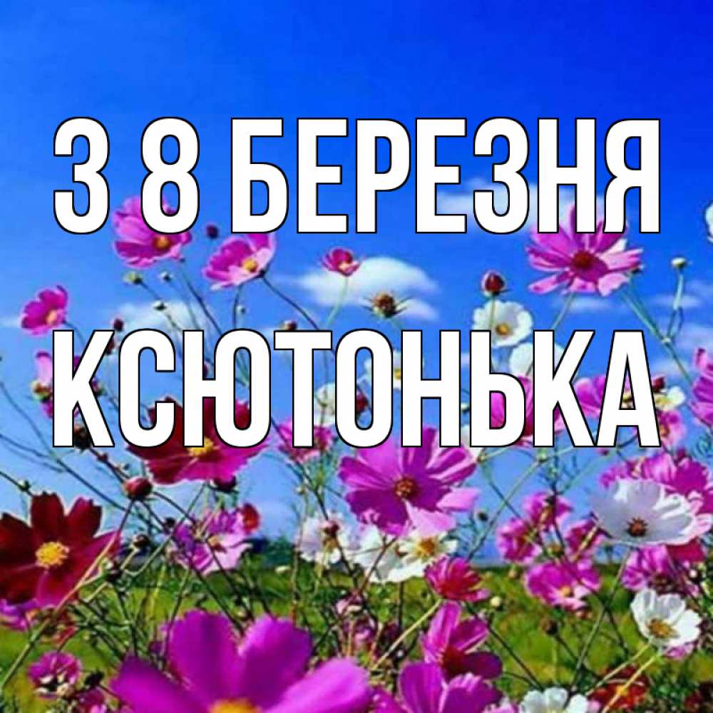 Открытка на каждый день з підписом, Ксютонька З 8 БЕРЕЗНЯ цветы Прикольна листівка з побажанням онлайн скачати безкоштовно 
