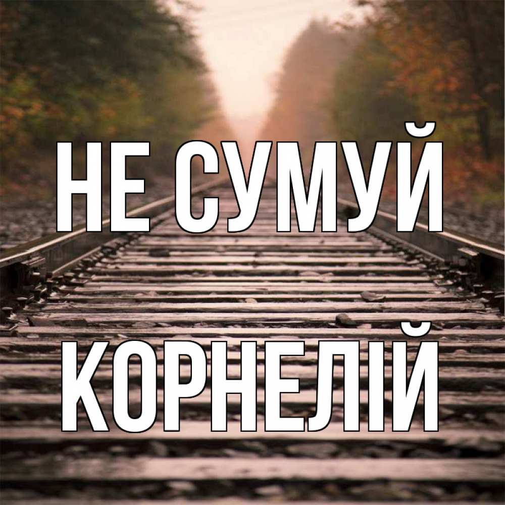 Открытка на каждый день з підписом, Корнелій Не сумуй лес и железная дорога Прикольна листівка з побажанням онлайн скачати безкоштовно 