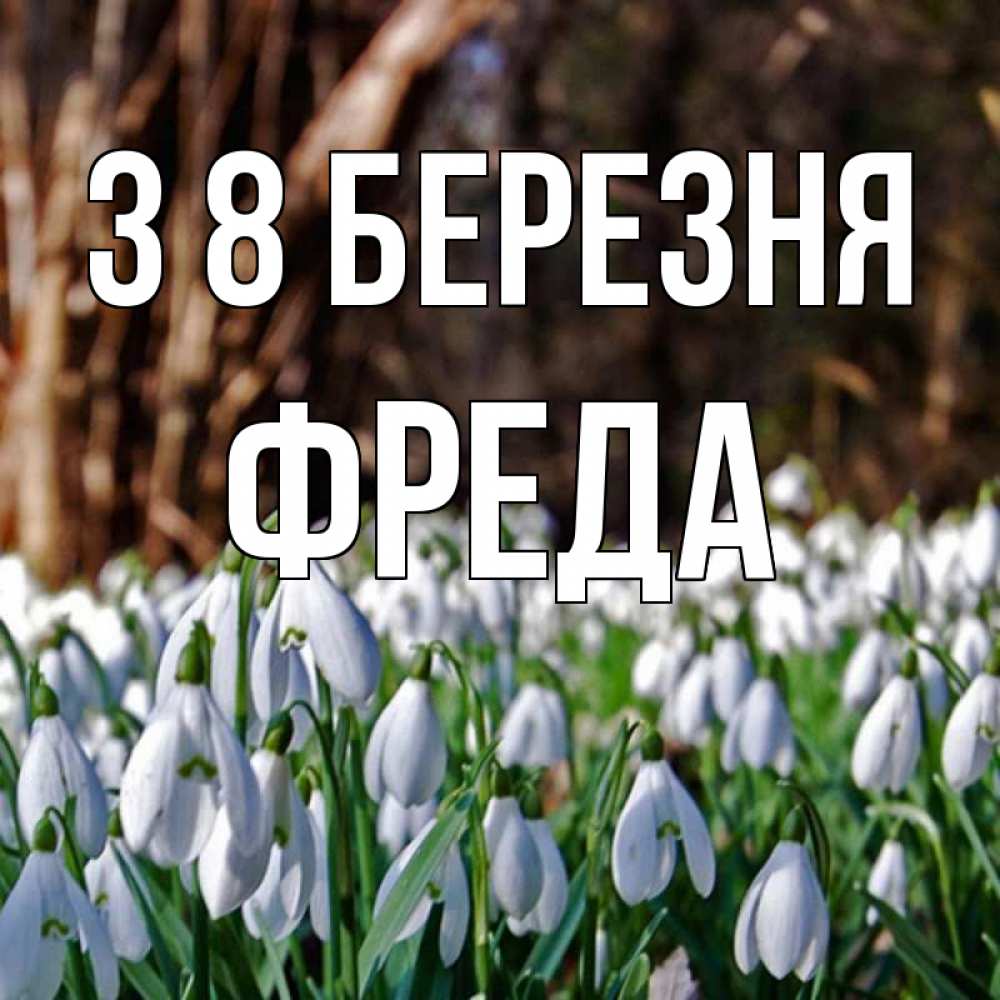 Открытка на каждый день з підписом, Фреда З 8 БЕРЕЗНЯ с подснежниками 1 Прикольна листівка з побажанням онлайн скачати безкоштовно 