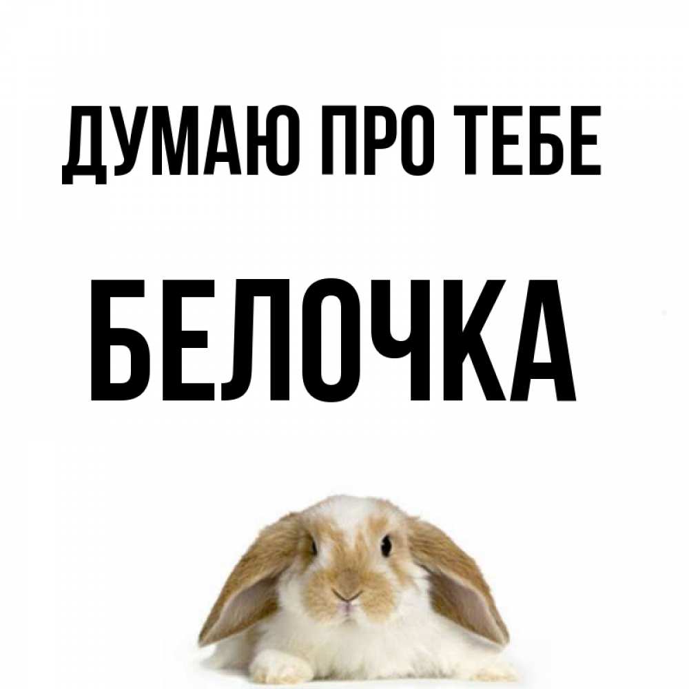 Открытка на каждый день з підписом, Белочка Думаю про тебе подписать своими руками онлайн Прикольна листівка з побажанням онлайн скачати безкоштовно 