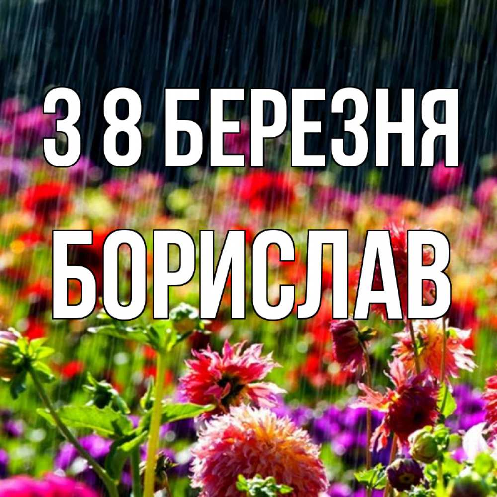 Открытка на каждый день з підписом, Борислав З 8 БЕРЕЗНЯ цветы под дождиком к международному женскому дню Прикольна листівка з побажанням онлайн скачати безкоштовно 