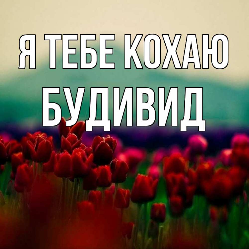 Открытка на каждый день з підписом, Будивид Я тебе кохаю тюльпаны 4 Прикольна листівка з побажанням онлайн скачати безкоштовно 