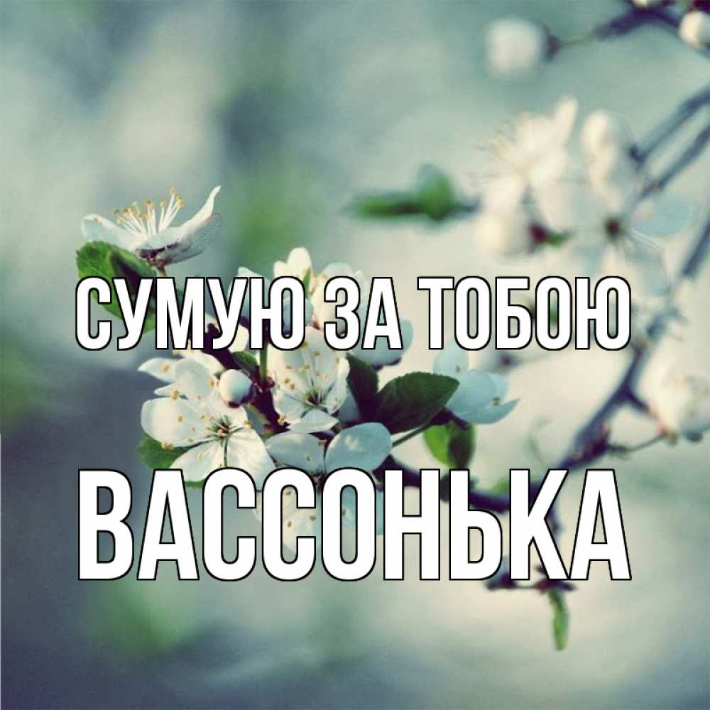 Открытка на каждый день з підписом, Вассонька Сумую за тобою весна Прикольна листівка з побажанням онлайн скачати безкоштовно 