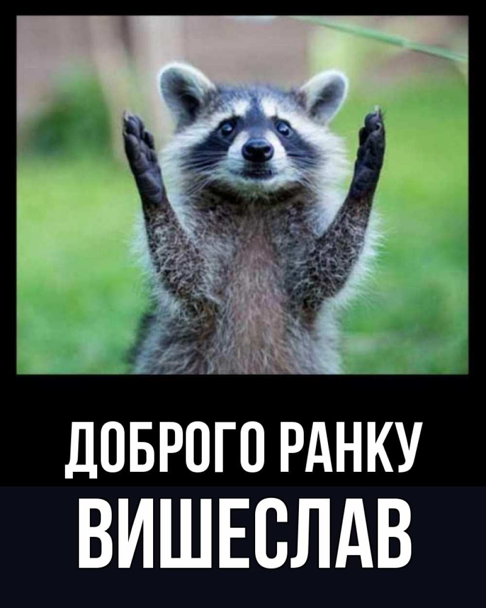 Открытка на каждый день з підписом, Вишеслав Доброго ранку хорошее настроение утречком Прикольна листівка з побажанням онлайн скачати безкоштовно 