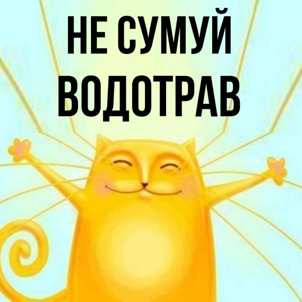 Открытка на каждый день з підписом, Водотрав Не сумуй обнимашки усатые Прикольна листівка з побажанням онлайн скачати безкоштовно 