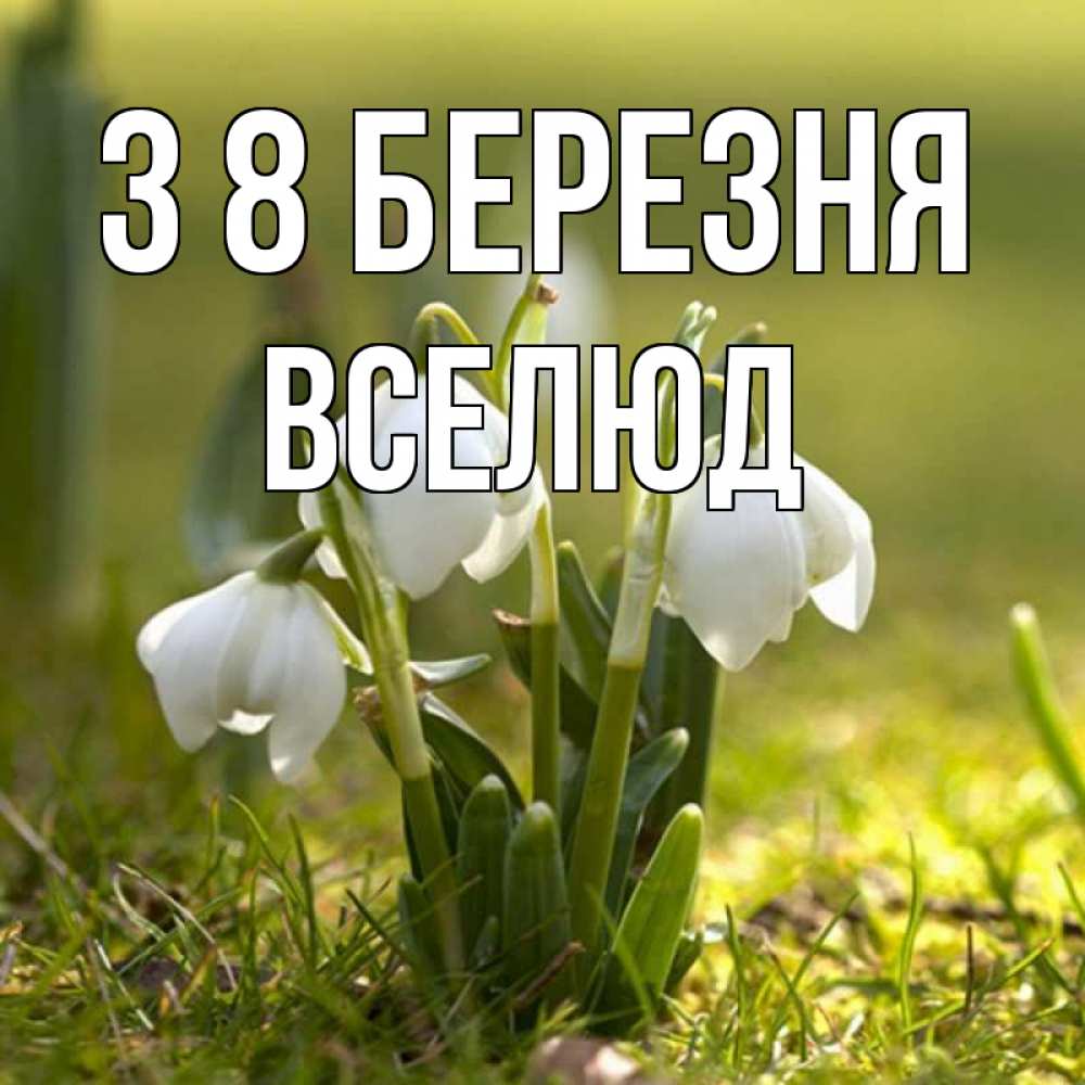Открытка на каждый день з підписом, Вселюд З 8 БЕРЕЗНЯ ранние цветы 2 Прикольна листівка з побажанням онлайн скачати безкоштовно 