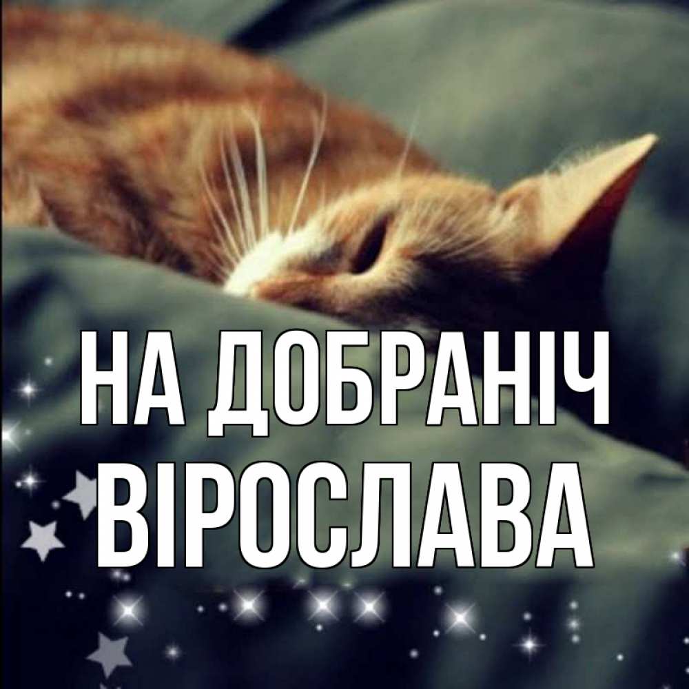 Открытка на каждый день з підписом, Вірослава На добраніч кроватка Прикольна листівка з побажанням онлайн скачати безкоштовно 