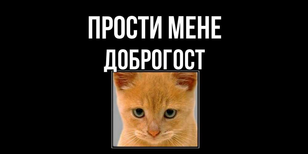 Открытка на каждый день з підписом, Доброгост Прости мене рыжий грустный кот просит прощения Прикольна листівка з побажанням онлайн скачати безкоштовно 