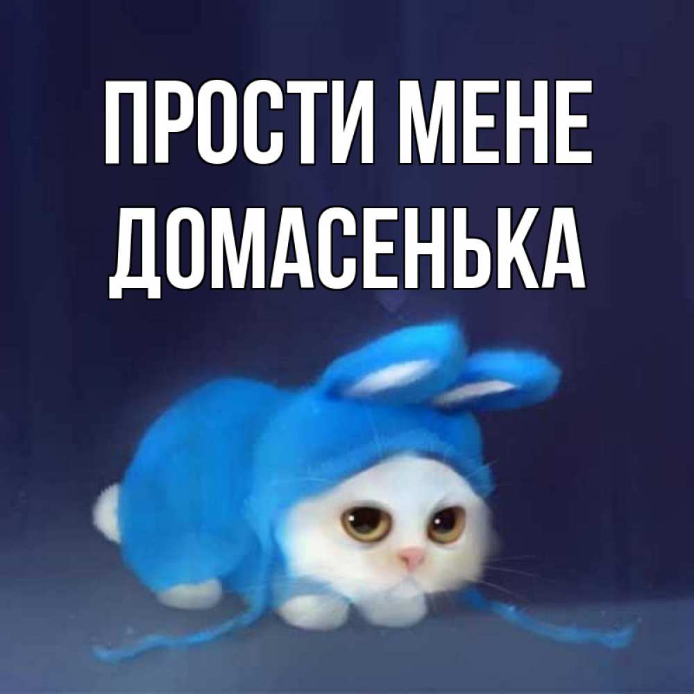 Открытка на каждый день з підписом, Домасенька Прости мене невинный котозай просит прощения Прикольна листівка з побажанням онлайн скачати безкоштовно 