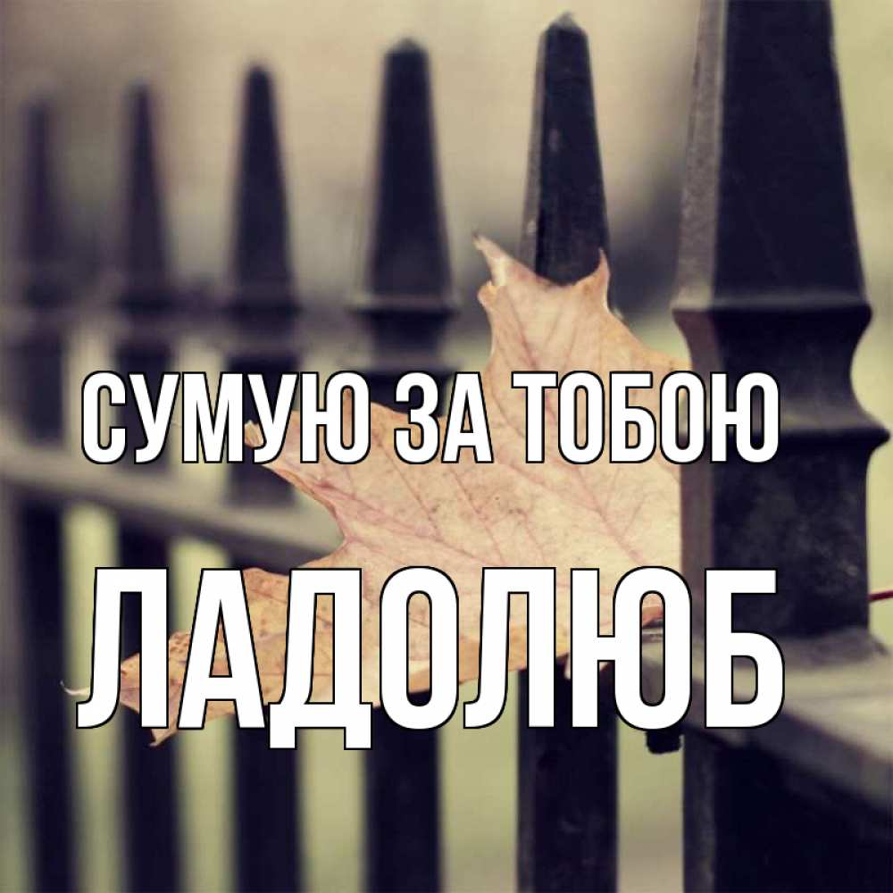 Открытка на каждый день з підписом, Ладолюб Сумую за тобою очень скучно Прикольна листівка з побажанням онлайн скачати безкоштовно 