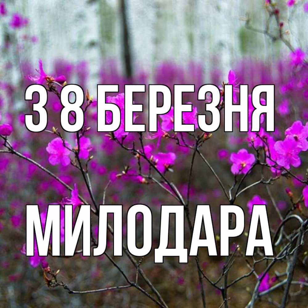 Открытка на каждый день з підписом, Милодара З 8 БЕРЕЗНЯ дикие цветы Прикольна листівка з побажанням онлайн скачати безкоштовно 