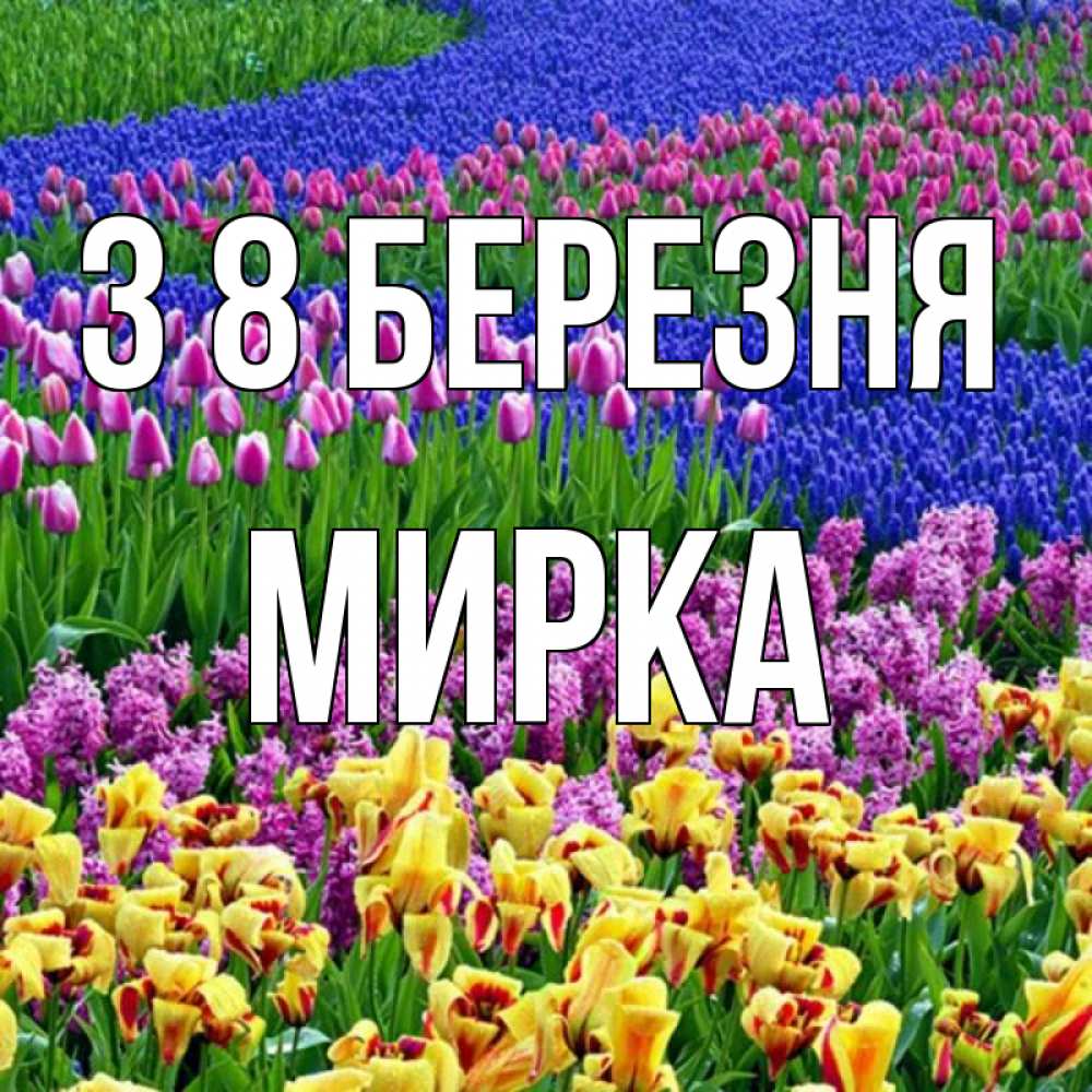 Открытка на каждый день з підписом, Мирка З 8 БЕРЕЗНЯ цветы Прикольна листівка з побажанням онлайн скачати безкоштовно 