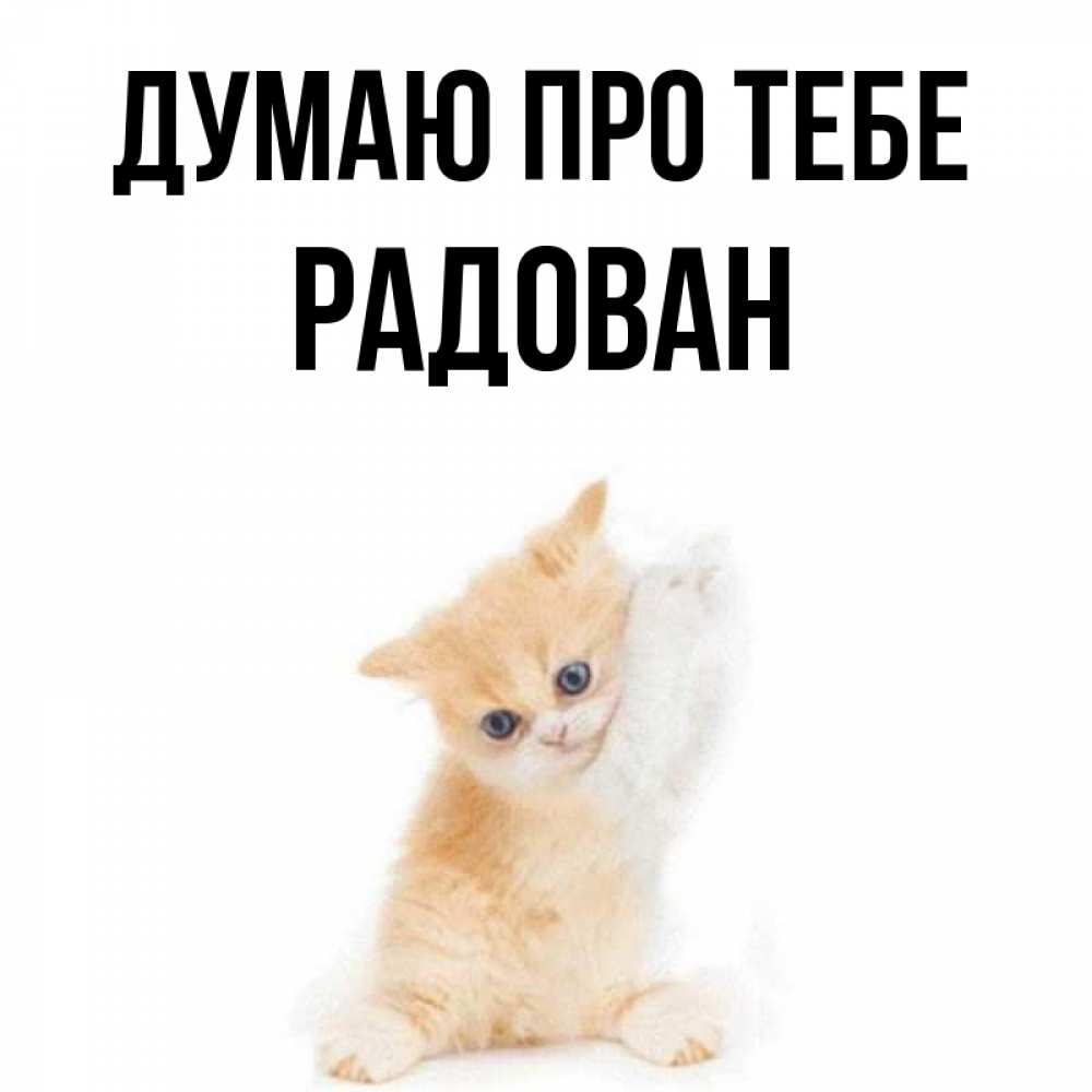Открытка на каждый день з підписом, Радован Думаю про тебе зверушки и милота Прикольна листівка з побажанням онлайн скачати безкоштовно 