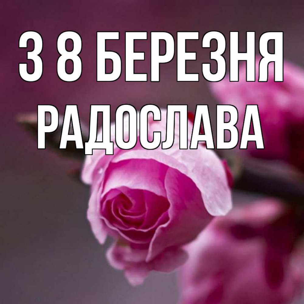 Открытка на каждый день з підписом, Радослава З 8 БЕРЕЗНЯ весна Прикольна листівка з побажанням онлайн скачати безкоштовно 