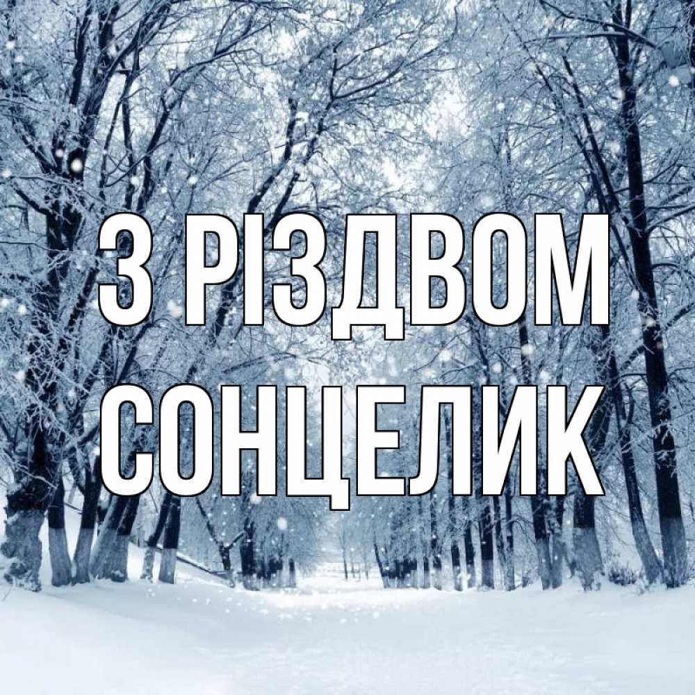 Открытка на каждый день з підписом, Сонцелик З Різдвом снег, лес, парк Прикольна листівка з побажанням онлайн скачати безкоштовно 