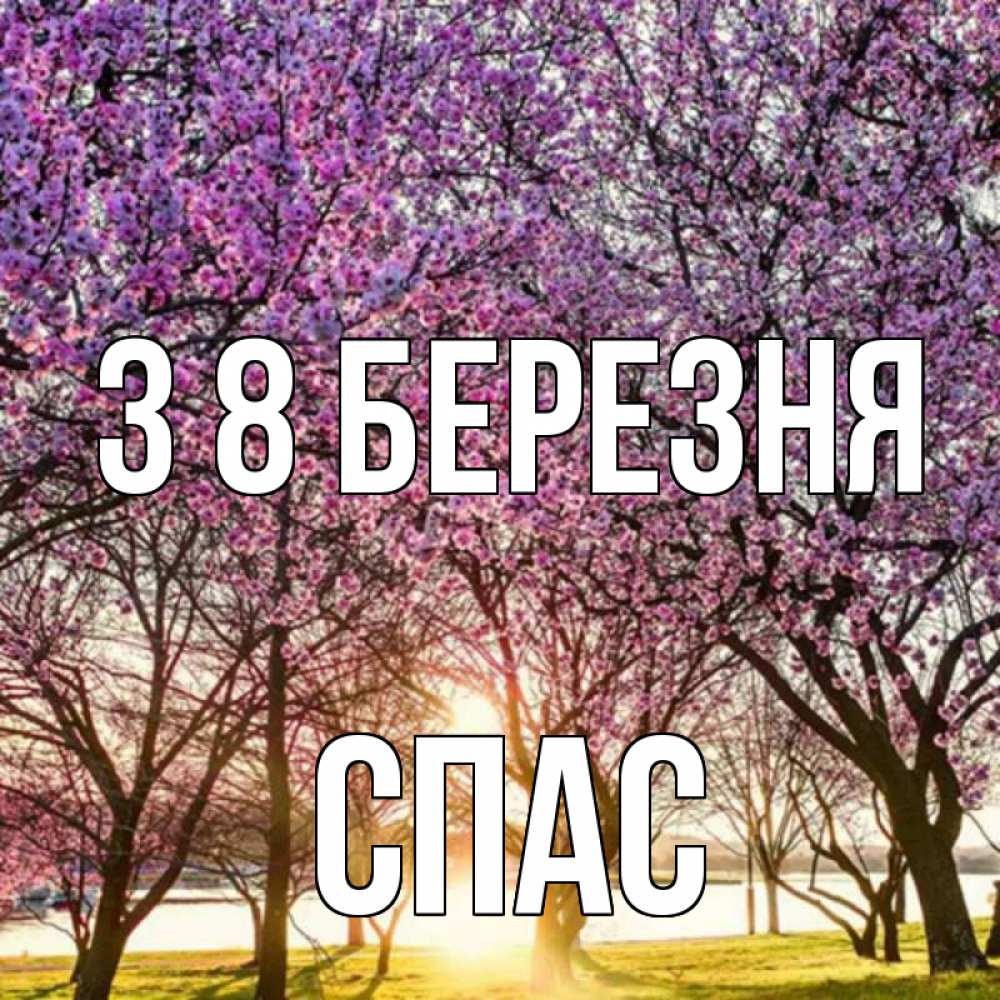 Открытка на каждый день з підписом, Спас З 8 БЕРЕЗНЯ международный женский день Прикольна листівка з побажанням онлайн скачати безкоштовно 