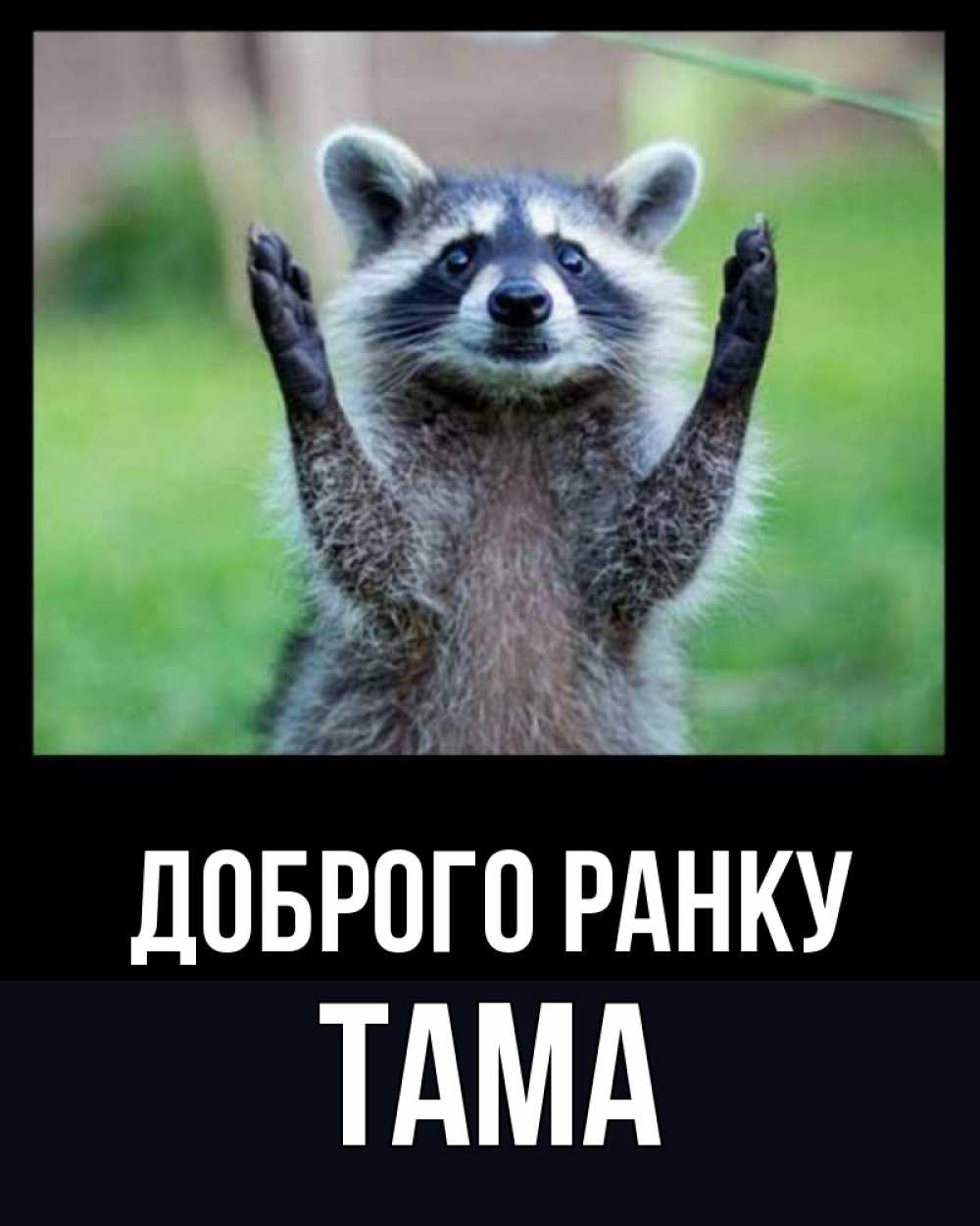 Открытка на каждый день з підписом, Тама Доброго ранку хорошее настроение утречком Прикольна листівка з побажанням онлайн скачати безкоштовно 
