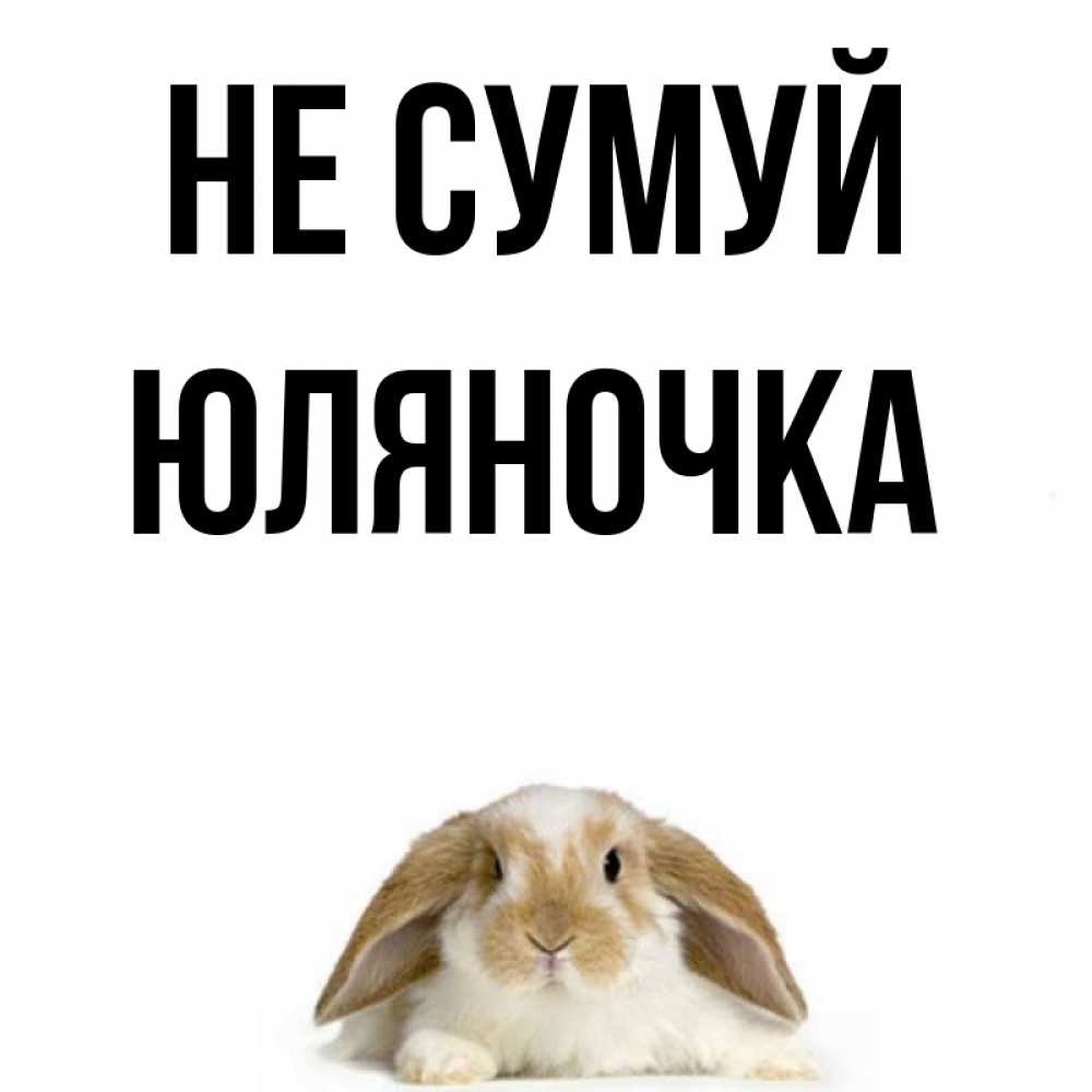 Открытка на каждый день з підписом, Юляночка Не сумуй коричнево белый заяц с большими ушками Прикольна листівка з побажанням онлайн скачати безкоштовно 