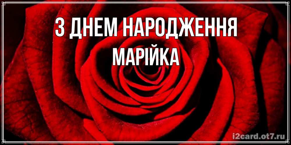 Открытка на каждый день з підписом, Марійка З Днем народження алая роза Прикольна листівка з побажанням онлайн скачати безкоштовно 