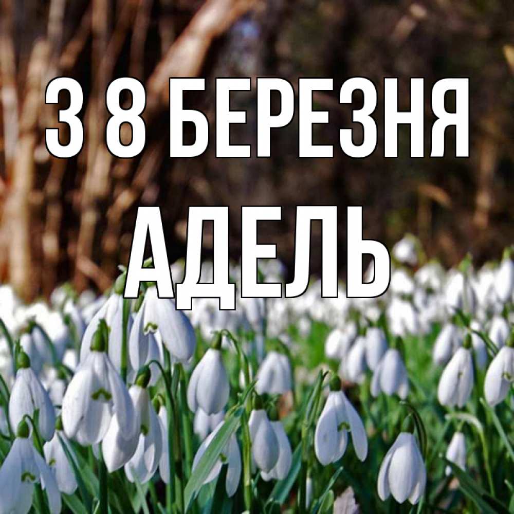 Открытка на каждый день з підписом, Адель З 8 БЕРЕЗНЯ с подснежниками 1 Прикольна листівка з побажанням онлайн скачати безкоштовно 