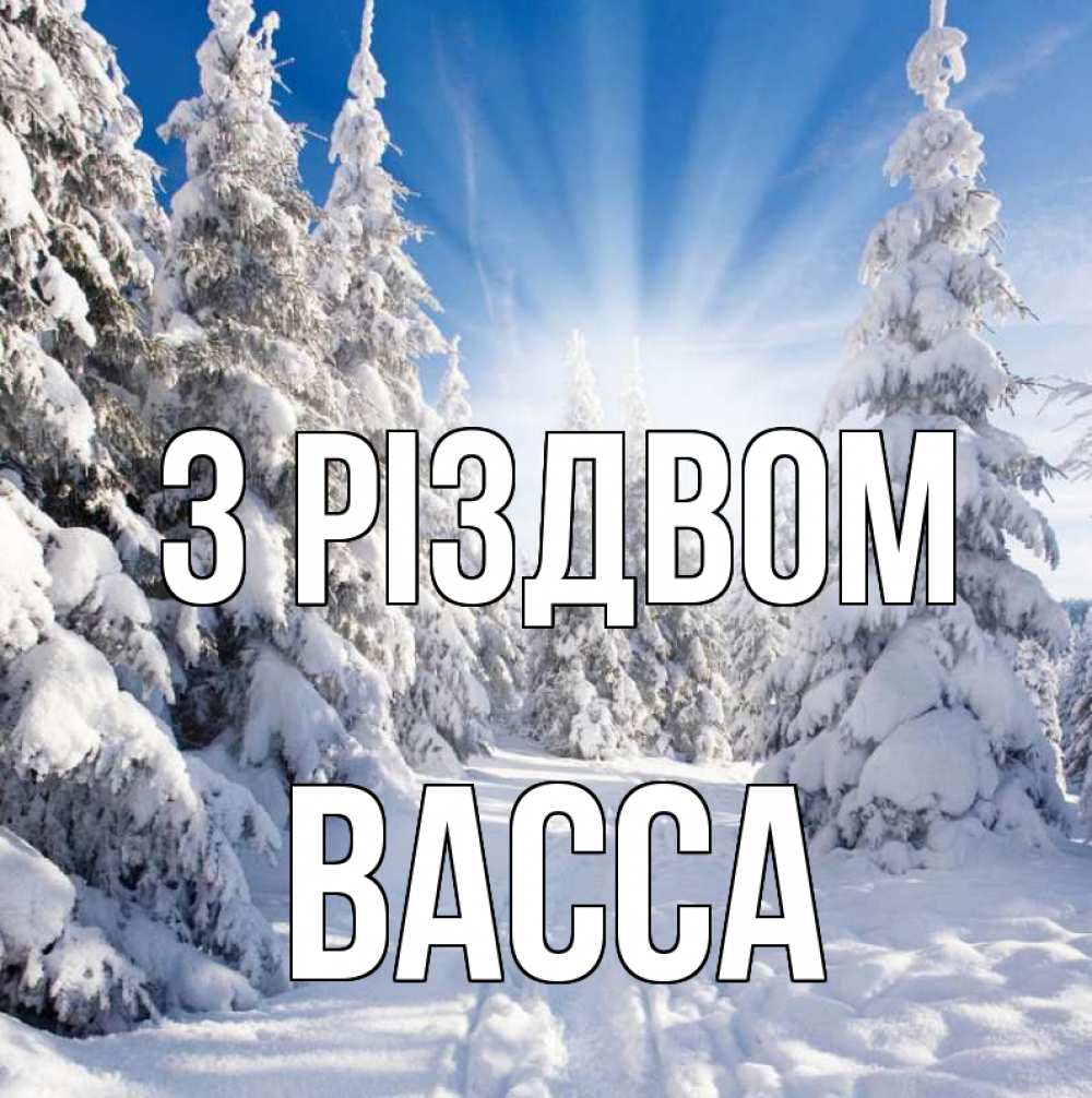 Открытка на каждый день з підписом, Васса З Різдвом зима, лес Прикольна листівка з побажанням онлайн скачати безкоштовно 