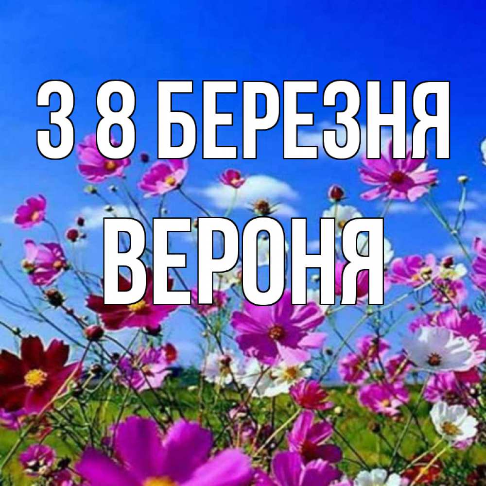Открытка на каждый день з підписом, Вероня З 8 БЕРЕЗНЯ цветы Прикольна листівка з побажанням онлайн скачати безкоштовно 